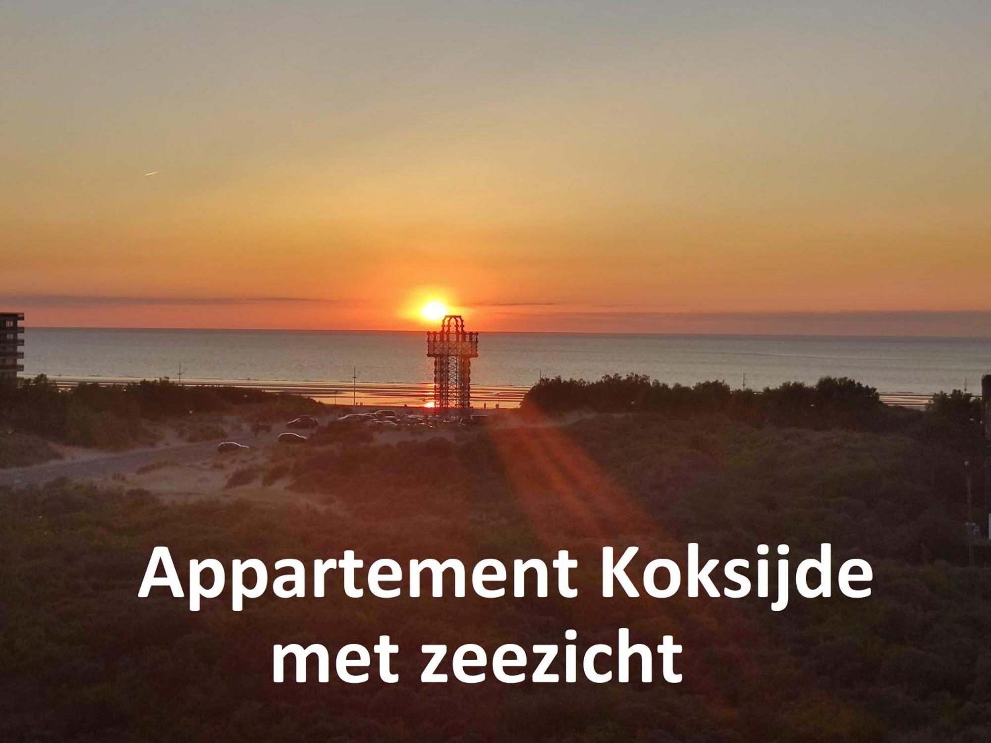 Recent Vernieuwd Appartement Met Zeezicht En Een Gratis Parkeerplaats Коксейде Экстерьер фото